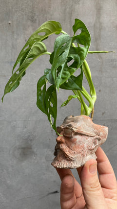 Hipster Dad Planter-4