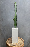 Brutalist White Concrete Vase