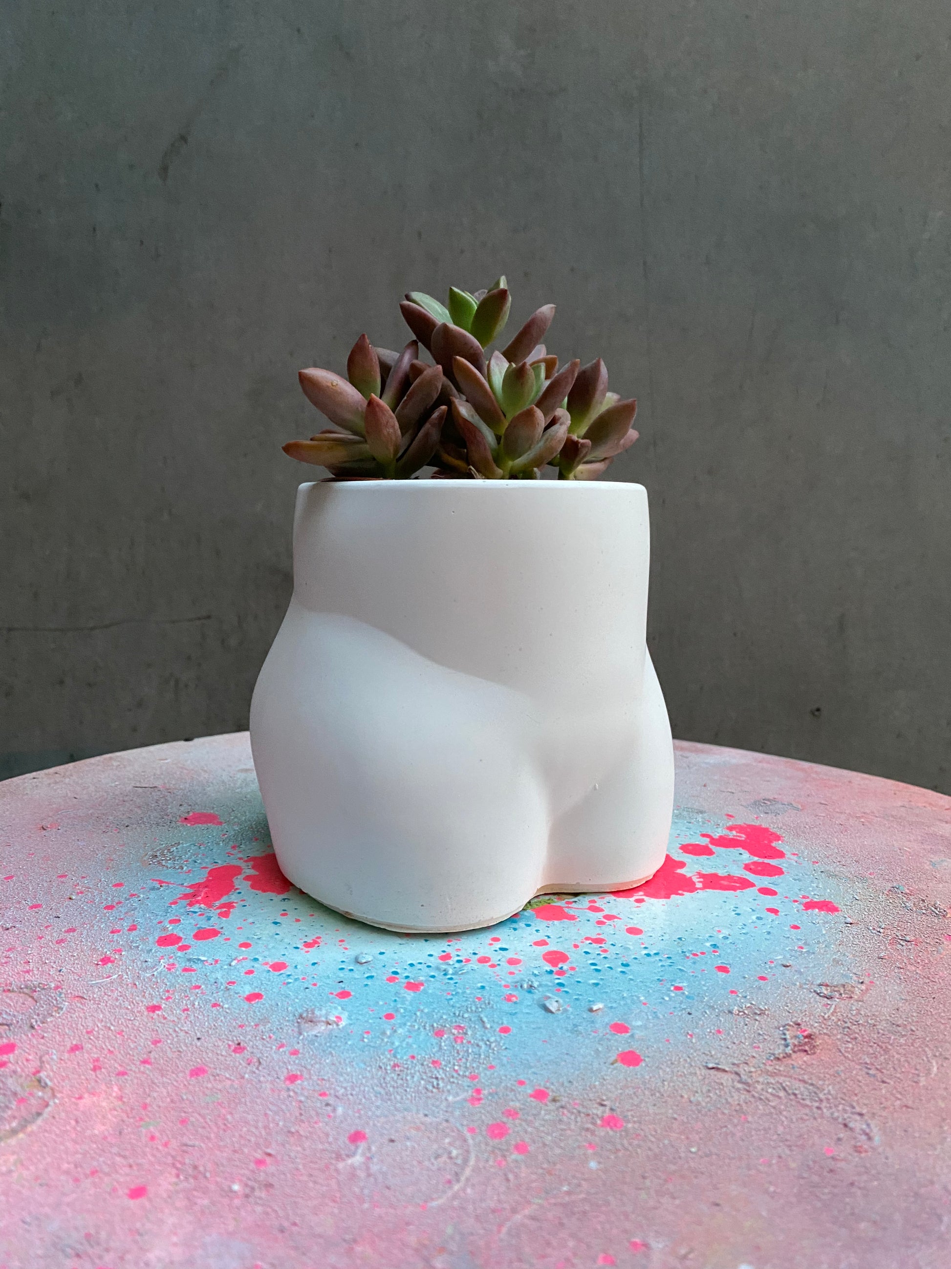 Bum Planter-4