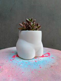 Bum Planter-4
