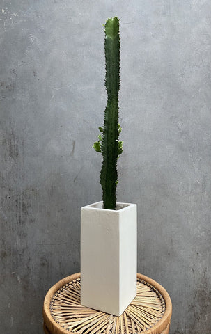 Brutalist White Concrete Vase
