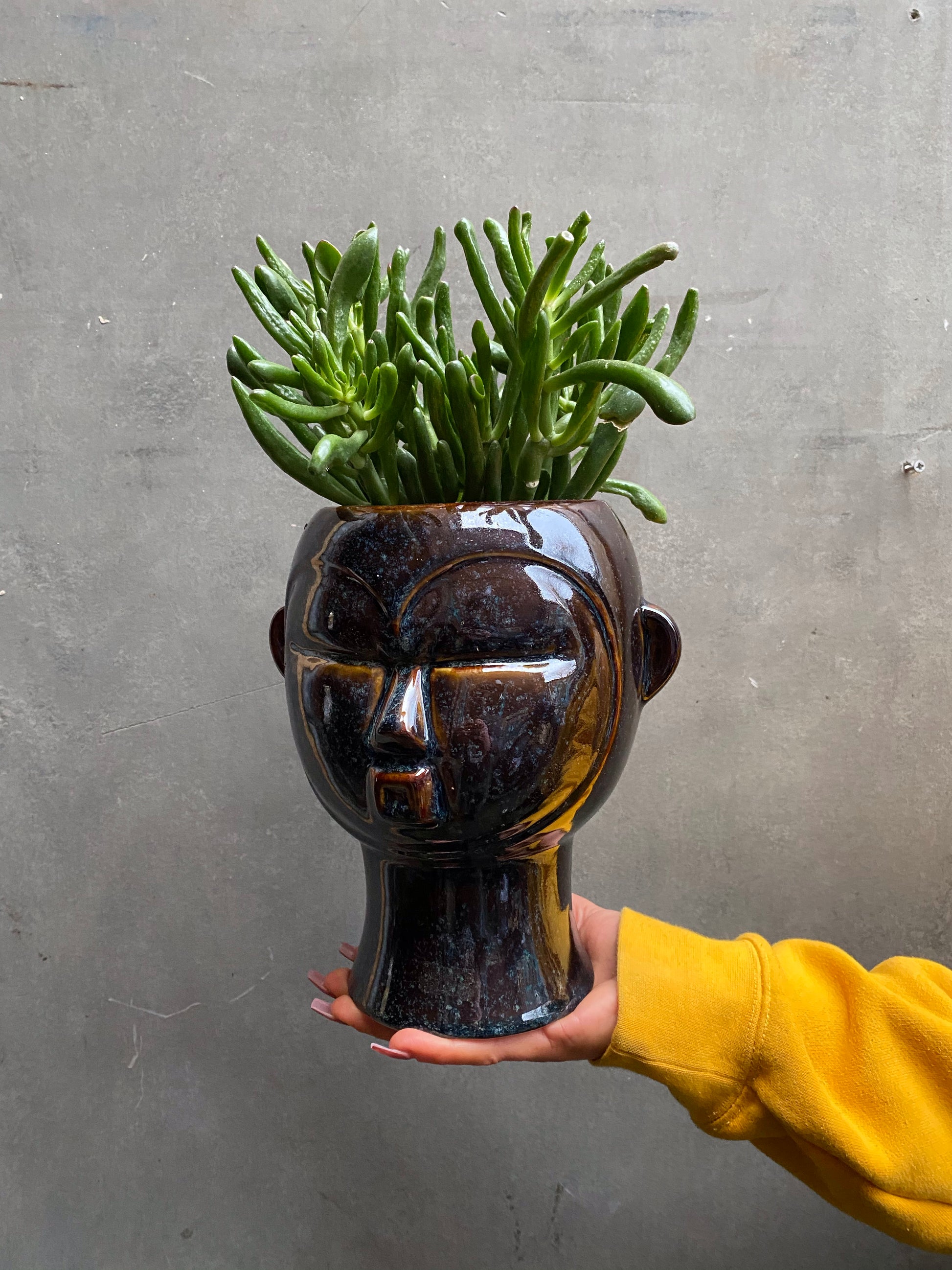 Head Planters-6