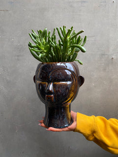 Head Planters-6