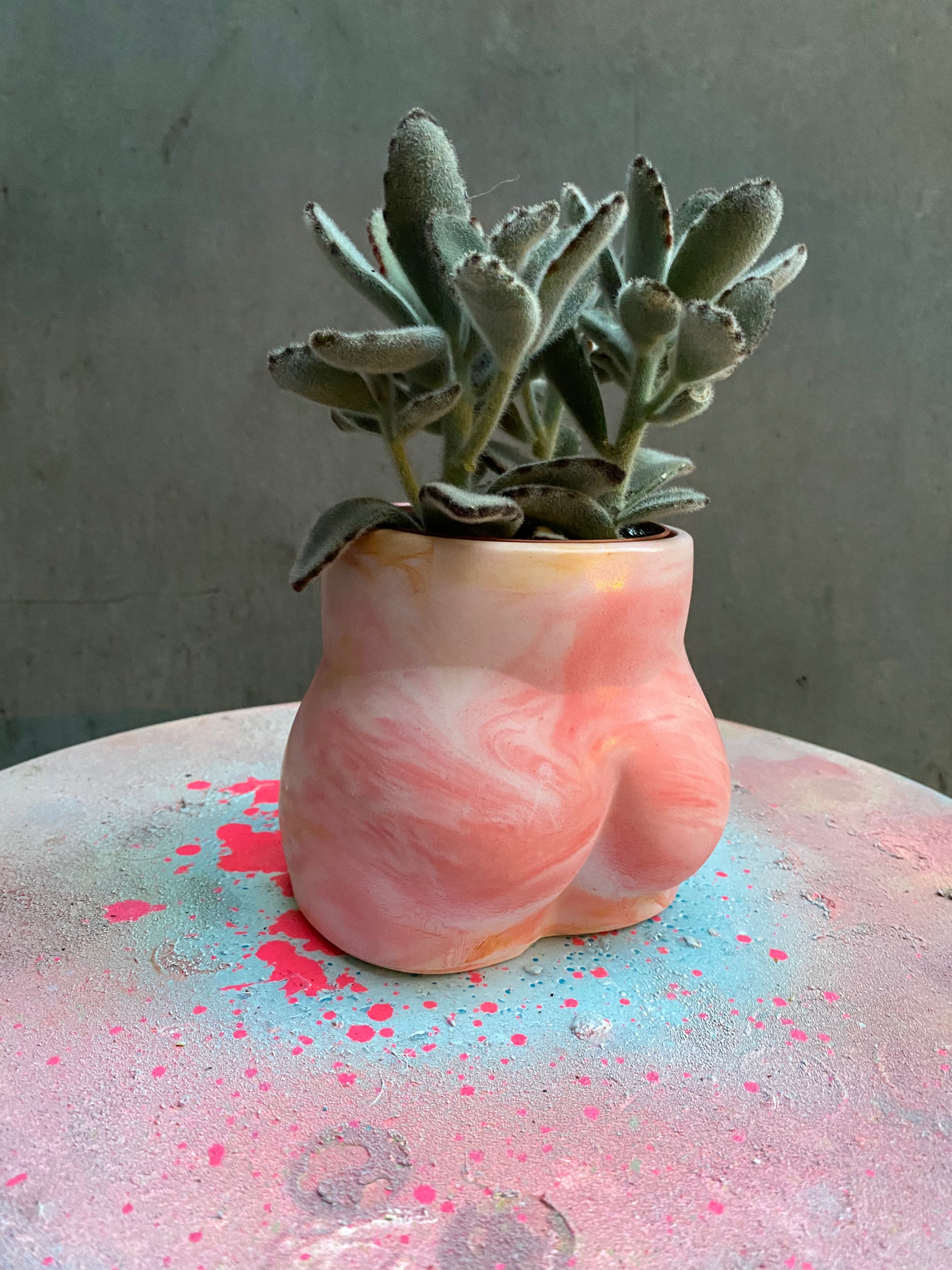 Bum Planter-9
