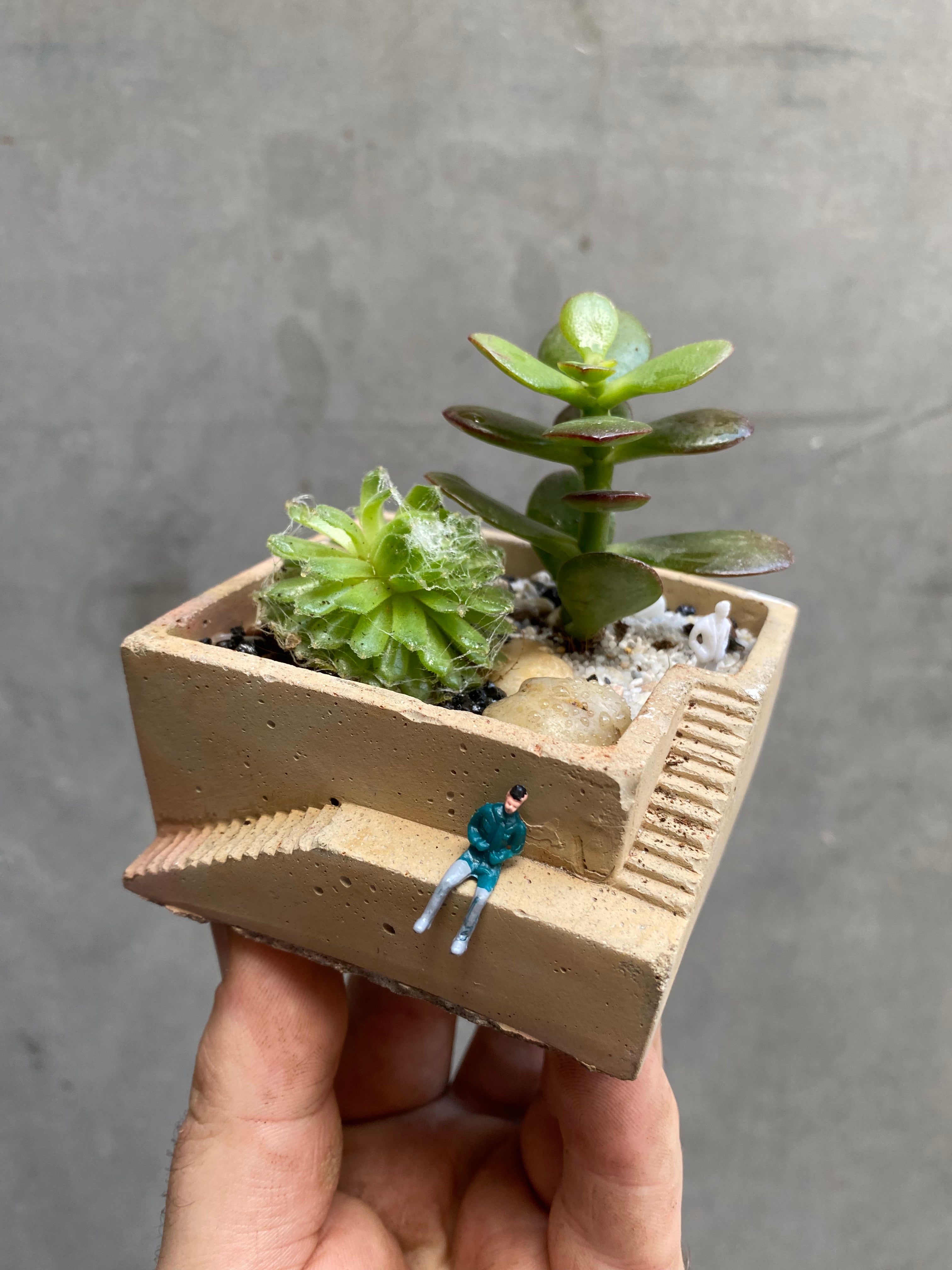 Custom Steps Planter-11