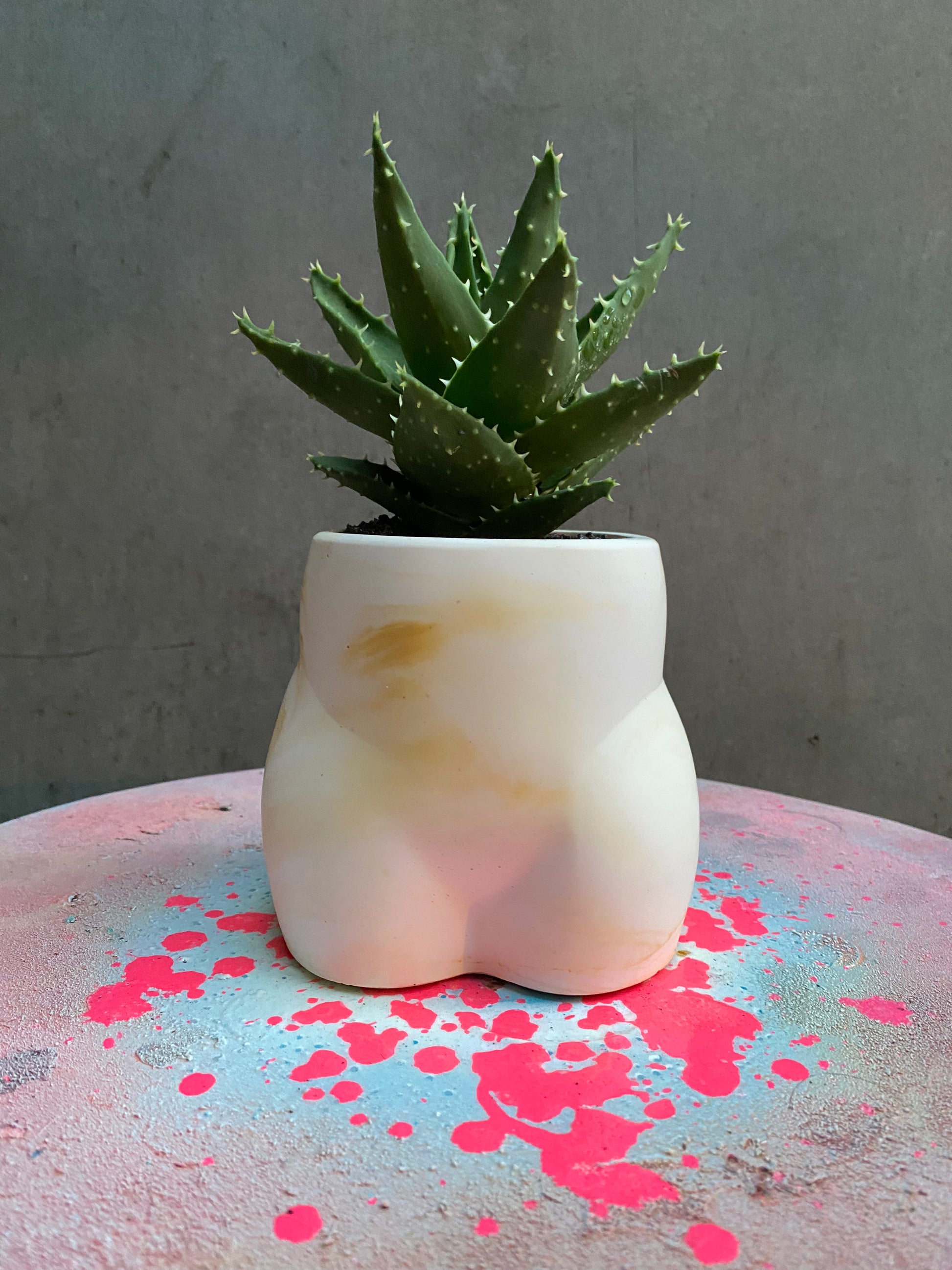 Bum Planter-8