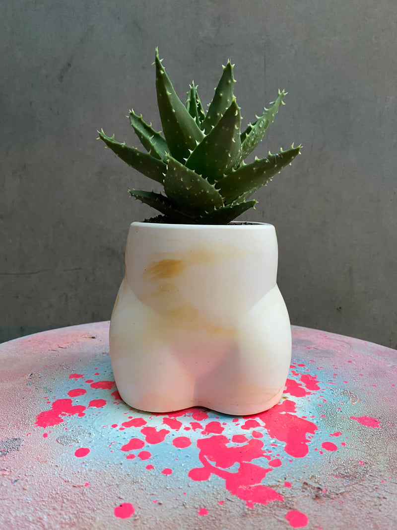 Bum Planter-8