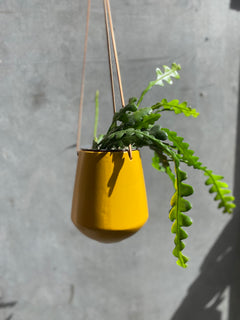 Skittle Hanging Pots (large)-16