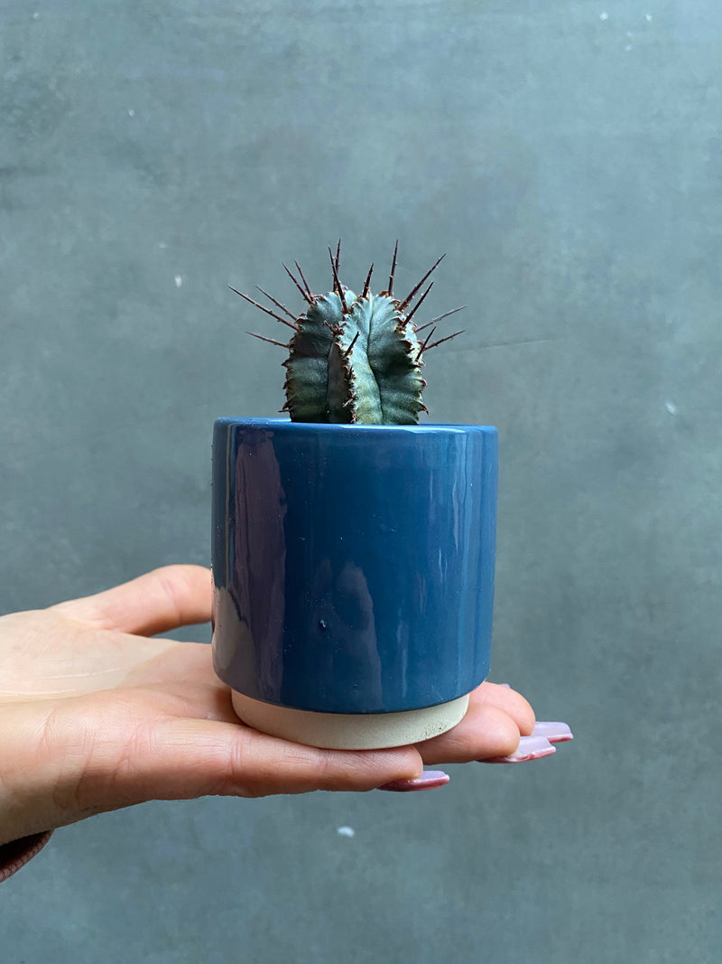 Eno Pots-13