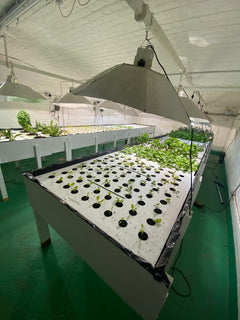 Soil Mix - Potting Mix-5