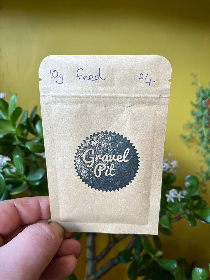 Microbial Tea-1