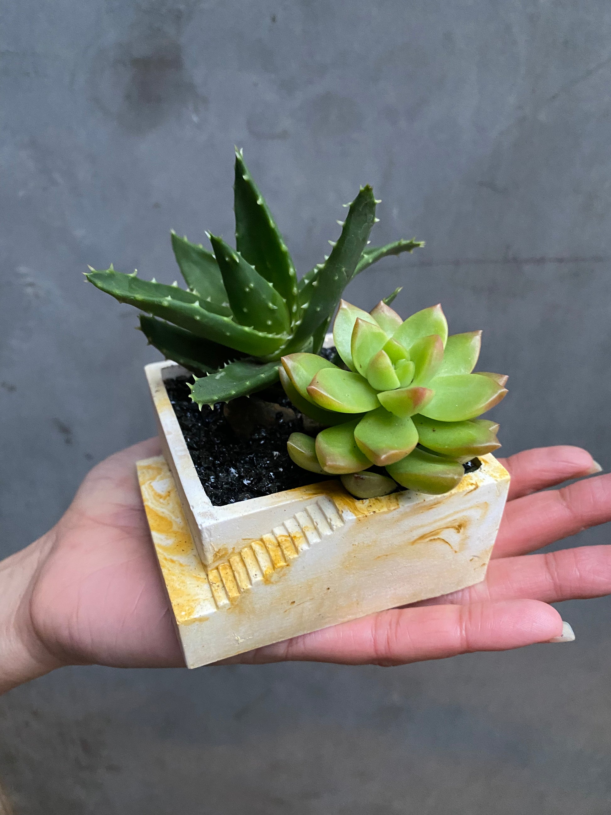 Custom Steps Planter-4