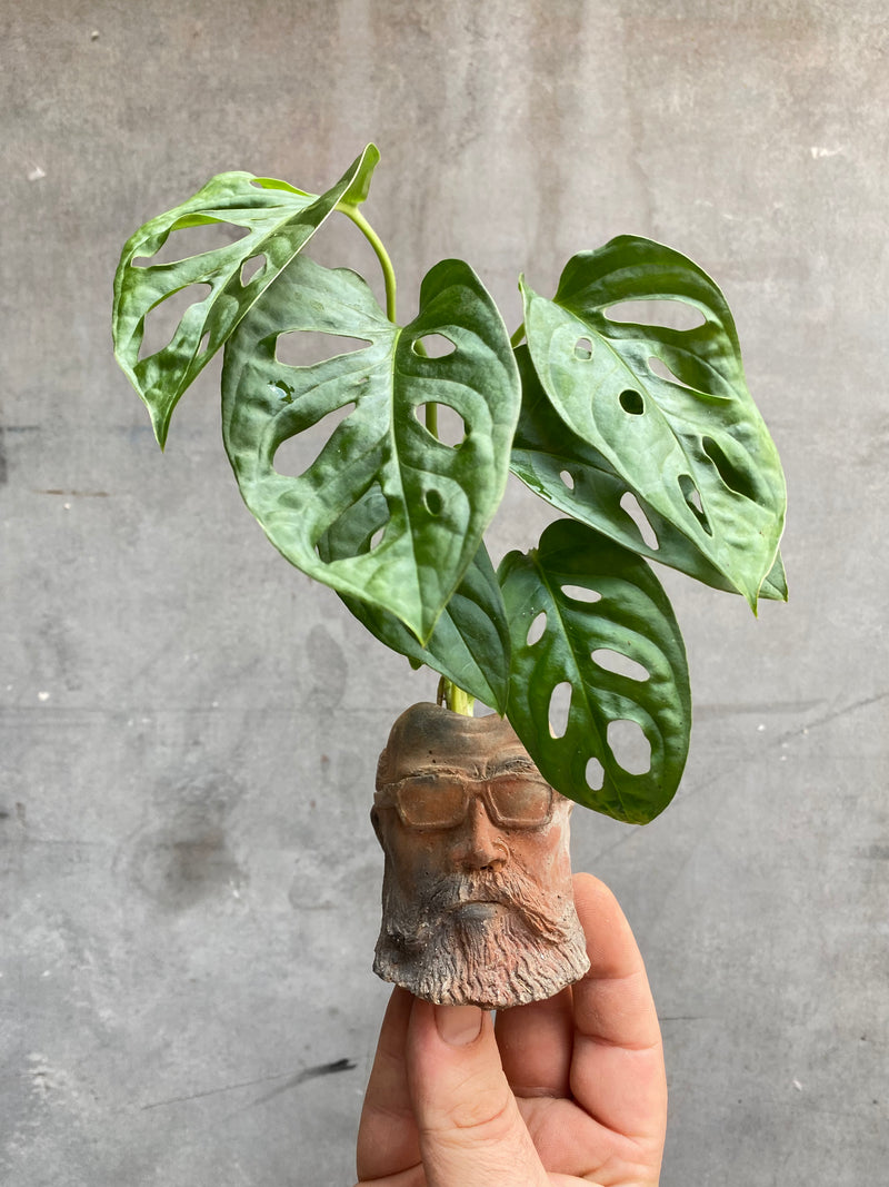 Hipster Dad Planter-3