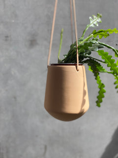 Skittle Hanging Pots (large)-13