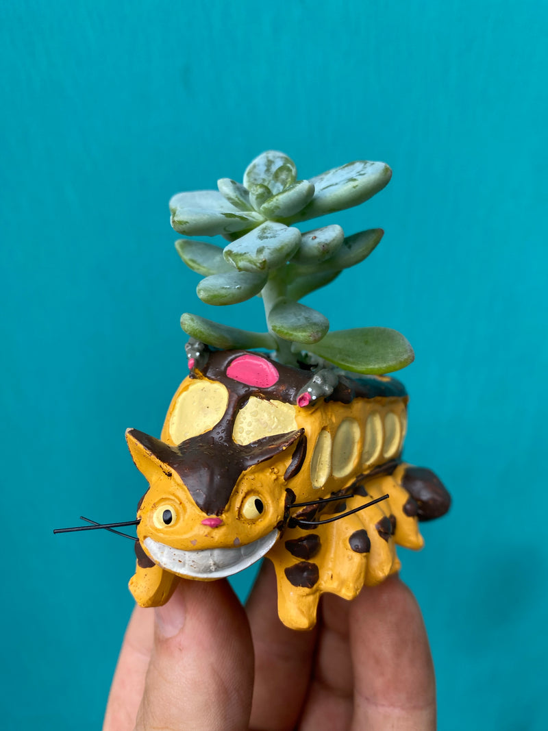 Cat Bus Planter-3
