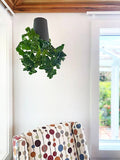 Sky Planter - recycled self-watering hanging pot