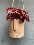 Hanging Face Planter