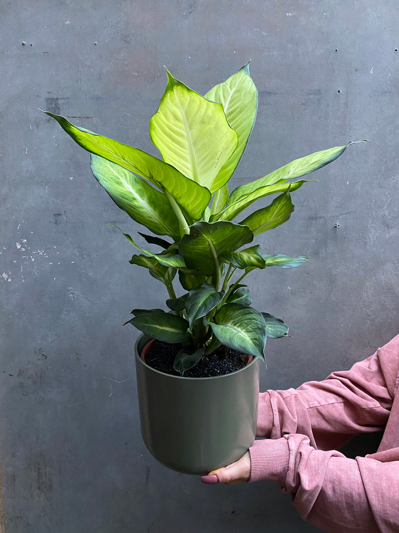 Lisbon Planter-1