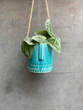 Hanging Face Planter