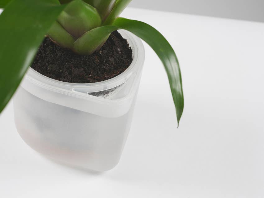 Till Planter - self-watering plant pot - large-6