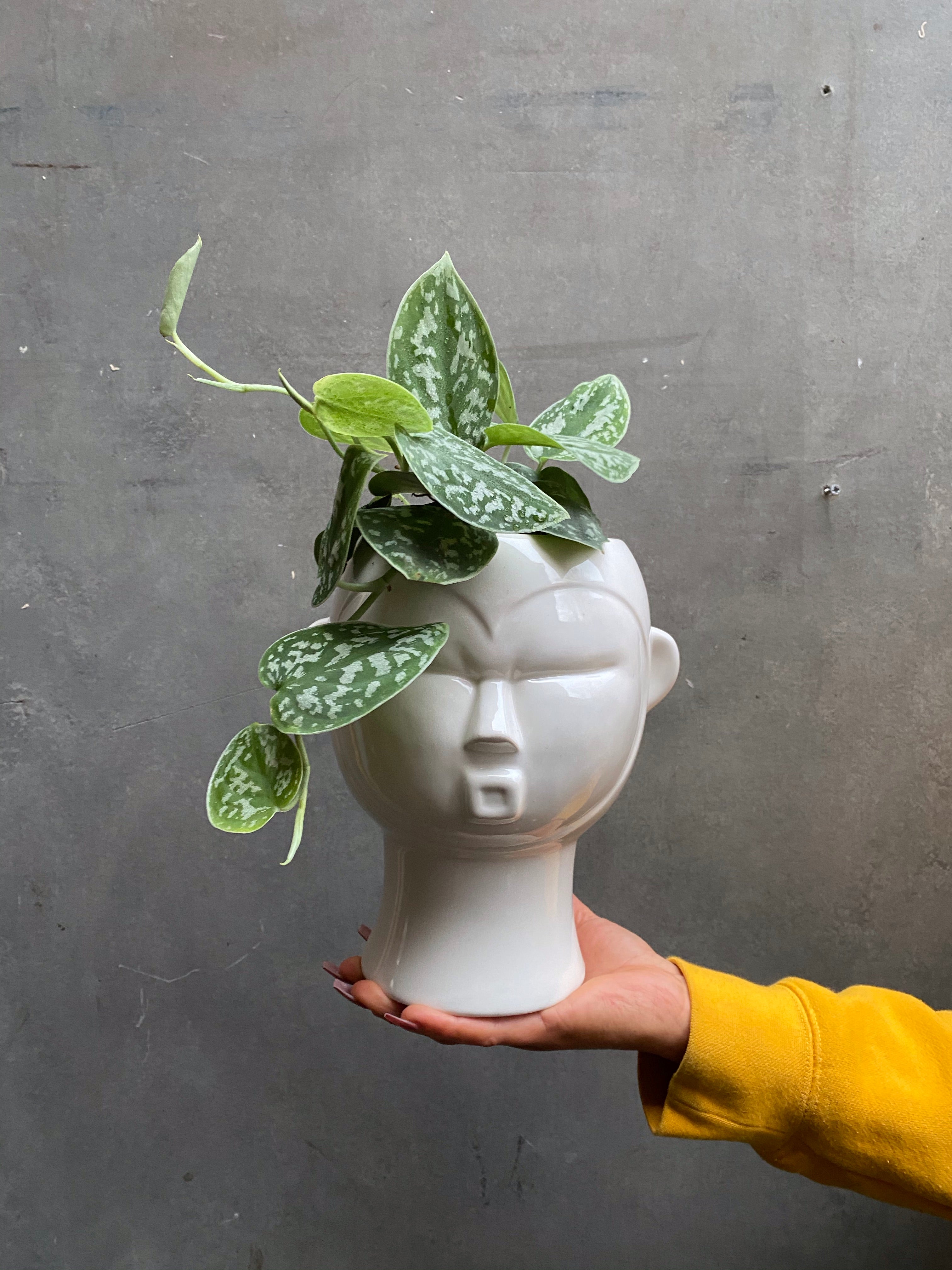 Head Planters