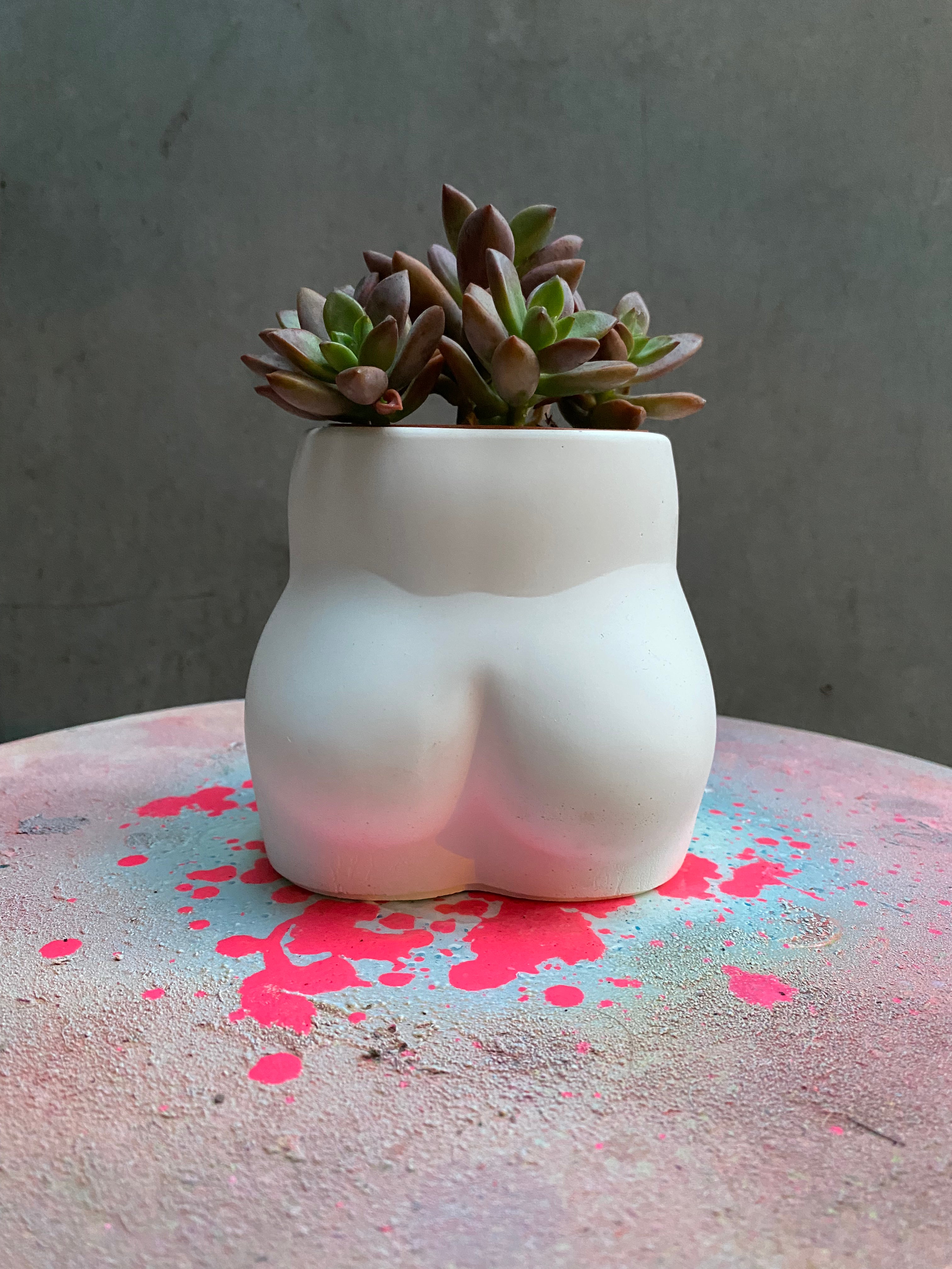 Bum Planter-3