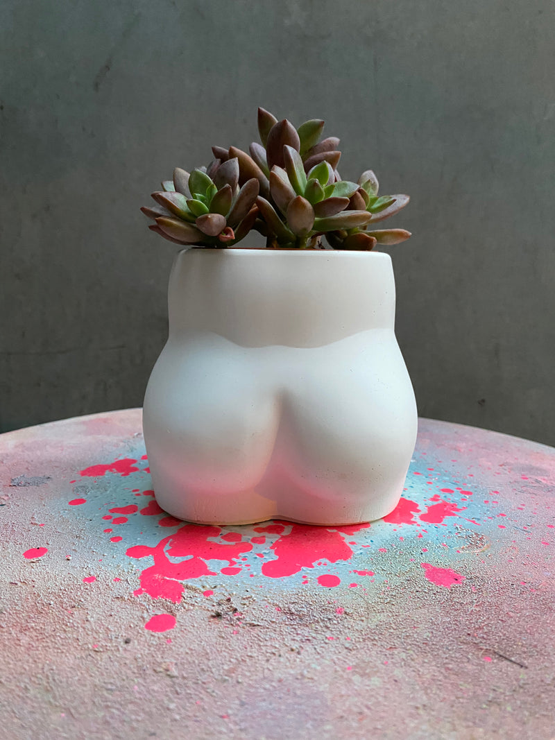 Bum Planter-3