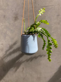 Skittle Hanging Pots (large)-14