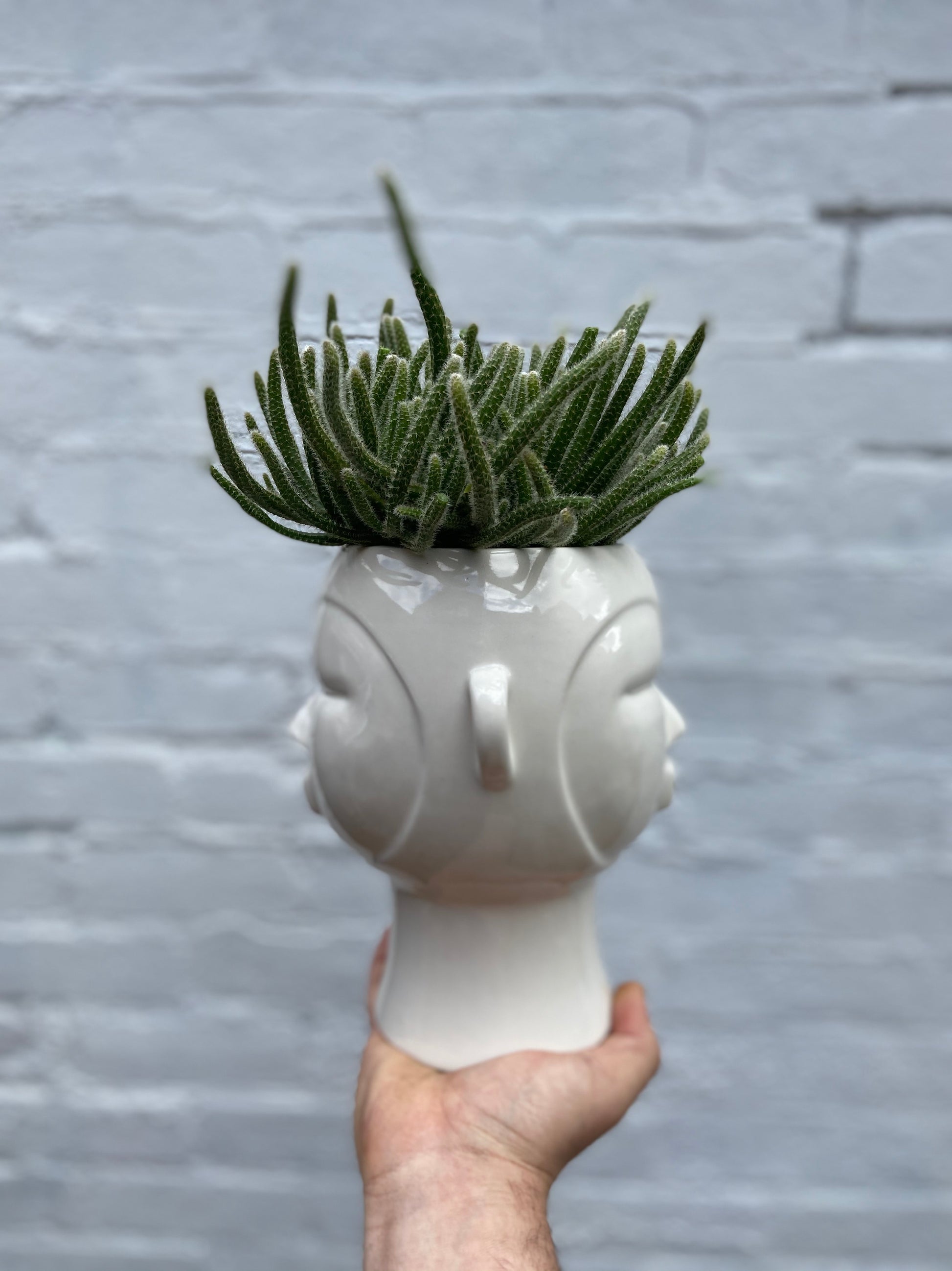 Head Planters-4