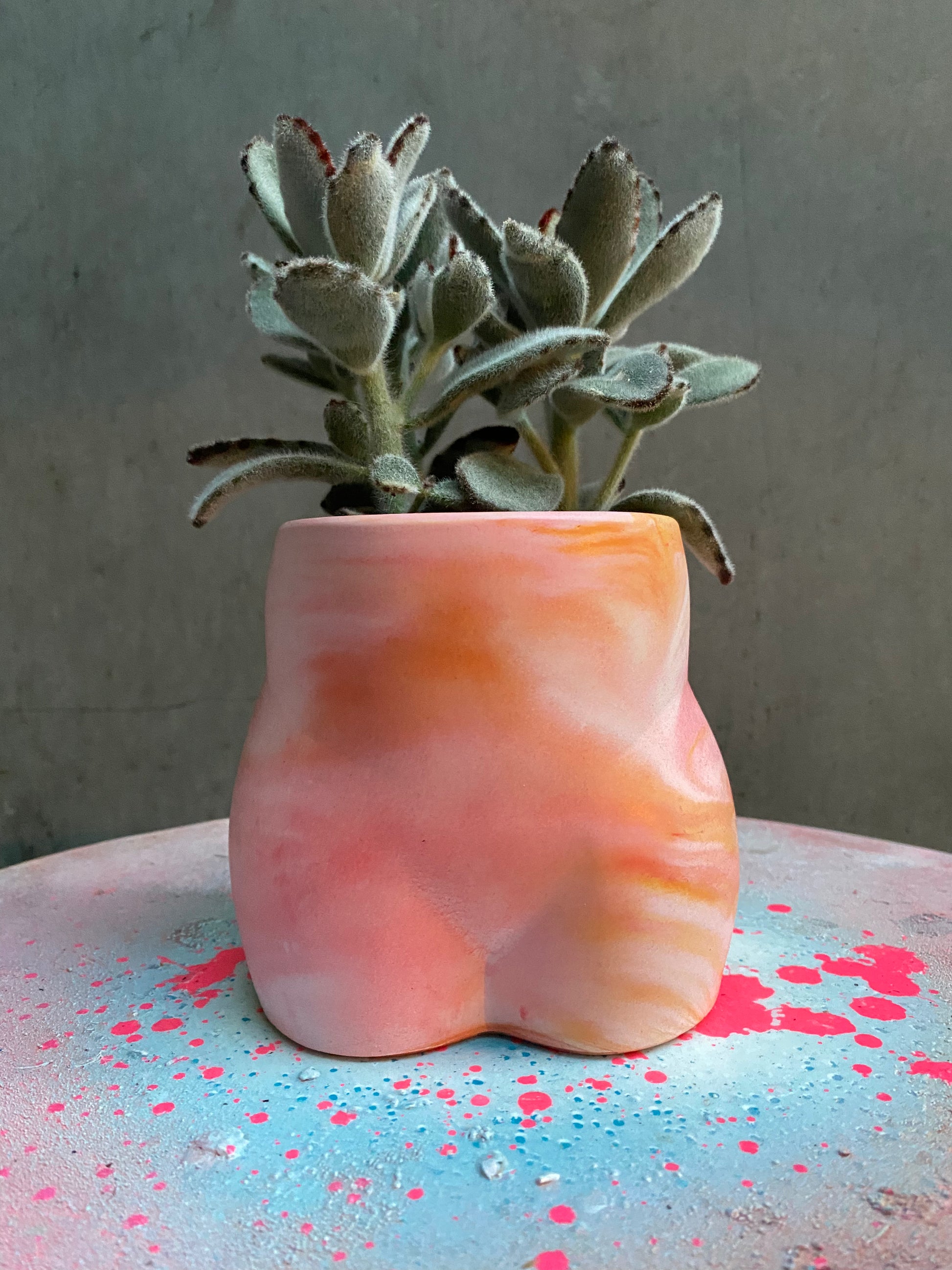 Bum Planter-11