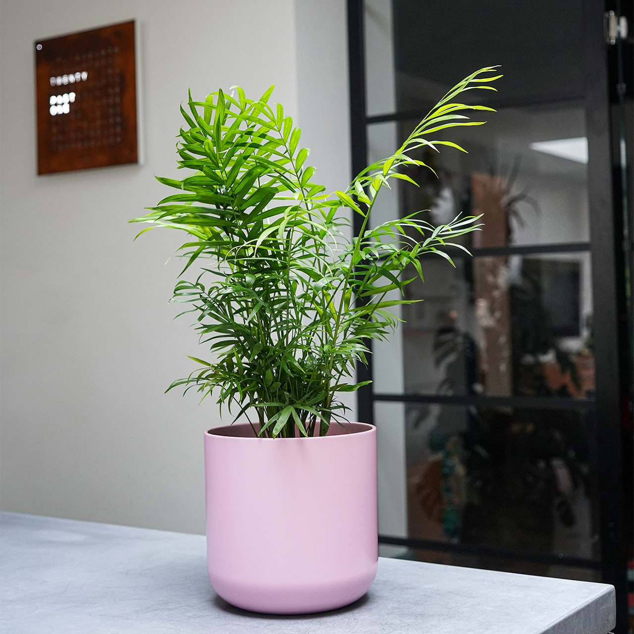 Lisbon Planter-13