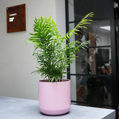 Lisbon Planter-13