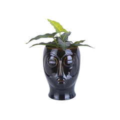 Head Planters-12