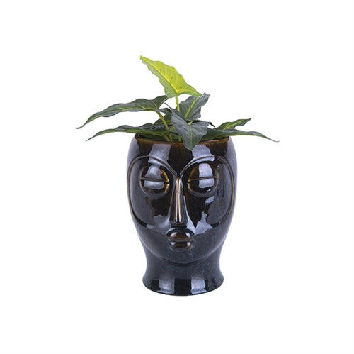 Head Planters-12
