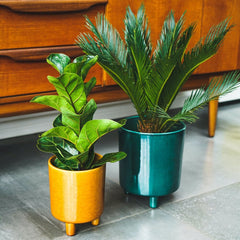 Pisa Bowls and Planters-1