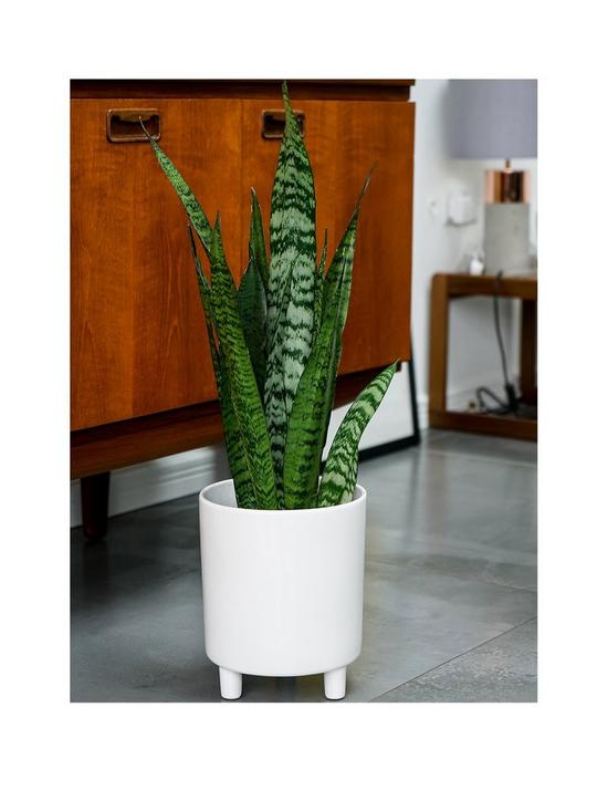 Pisa Bowls and Planters-3